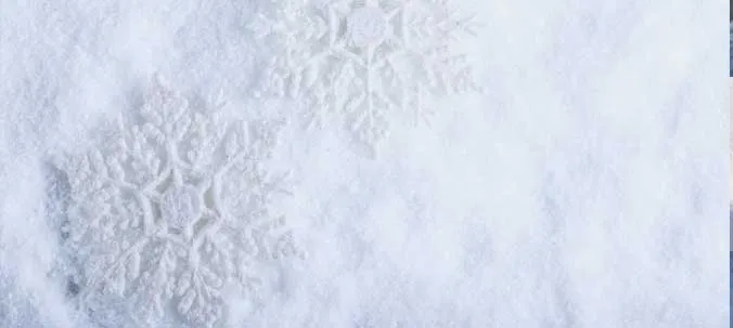 Snow and flat roofs – common problems