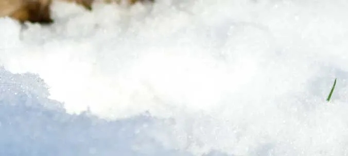Does snow affect a flat roof?