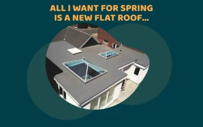 All I want for Spring is a new flat roof!