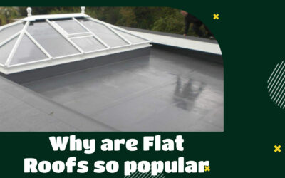 Why are Flat Roofs so popular?