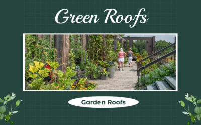 What is a green roof and their benefits?