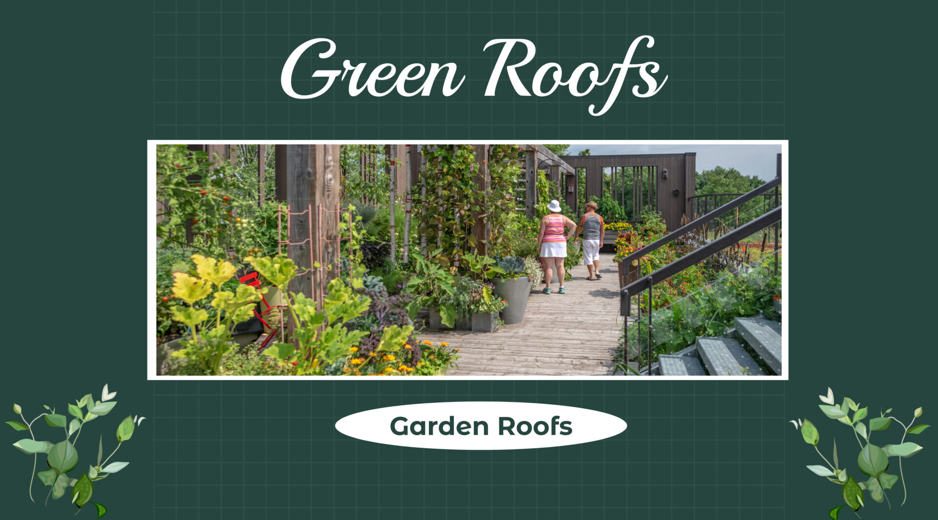 Green roofs garden roofs High Tech